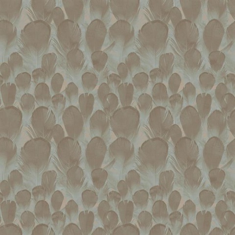Brown & Turquoise Feathers Wallpaper