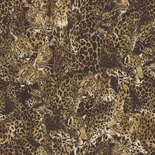 Browns & Taupe Leopard Face Toile Wallpaper