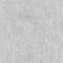 Brubeck Light Grey Distressed Texture