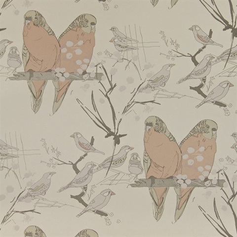 Budgies Taupe & Plaster