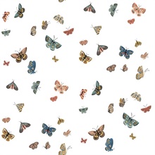 Butterfly House White Peel & Stick Wallpaper