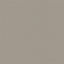 Caihon Silver Grasscloth Wallpaper