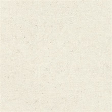 Cain White Rice Texture Wallpaper