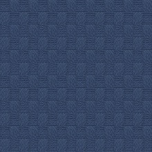 Calabash Navy Blue Rope Basketweave Wallpaper