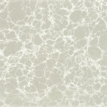 Calacatta Marble