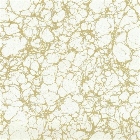 Calacatta Marble