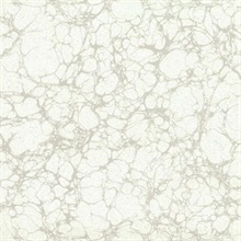 Calacatta Marble