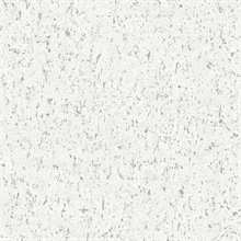 Callie White Textured Foil ConcreteWallpaper