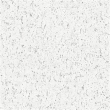 Callie White Textured Foil ConcreteWallpaper