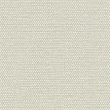 Calypso Bagasse Type II 20oz Wallpaper