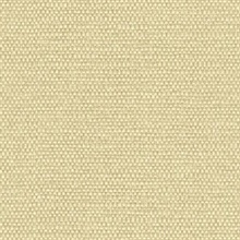 Calypso Indian Hemp Type II 20oz Wallpaper