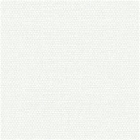 Calypso Plain Weave Type II 20oz Wallpaper