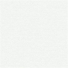 Calypso Plain Weave Type II 20oz Wallpaper