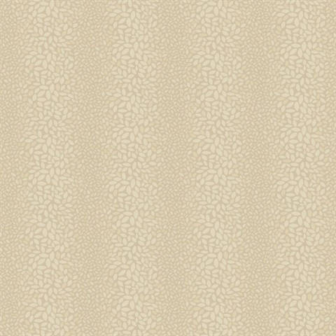 Canopy
