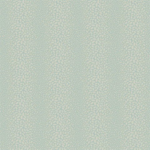 Canopy