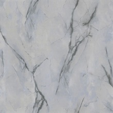 Cararra Icey Blue Marble Stone Wallpaper