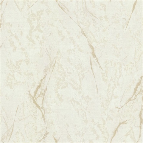 Oyster Marble Stone Wallpaper