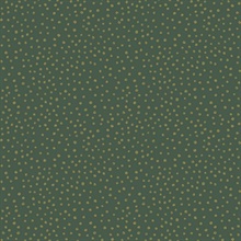 Cassie Green Petite Polka Dots Wallpaper
