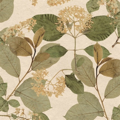 Castanum Bloom Cream Green Wallpaper