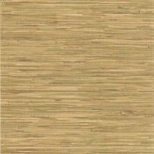 Cate Light Green Non Woven Grasscloth Wallpaper