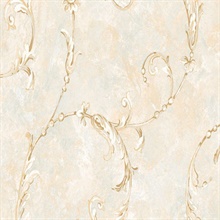 Catina Scroll