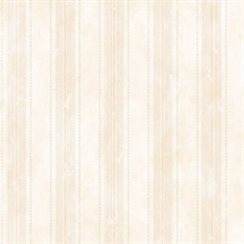 Catina Stripe