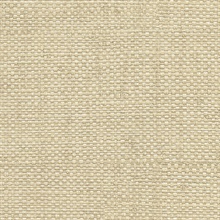 Caviar Beige Heavy Textrued Basketweave Wallpaper