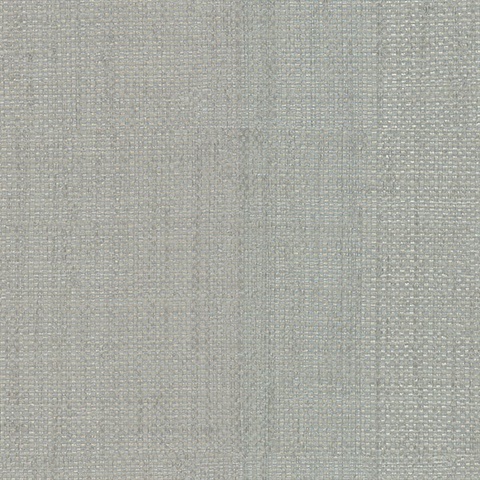 Caviar Silver Basketweave