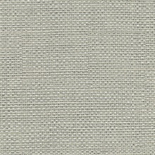 Caviar Silver Basketweave