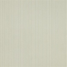 CD-CRW-109