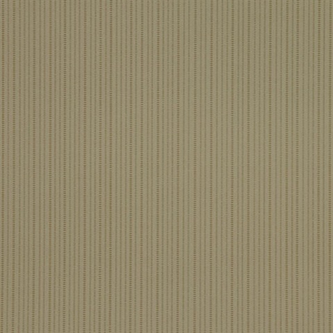 CD-CRW-142