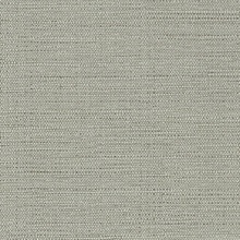 CD-CRW-205  Commercial Wallpaper