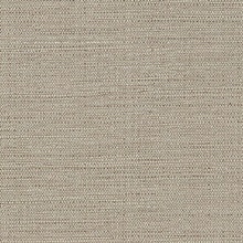 CD-CRW-206  Commercial Wallpaper