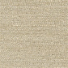 CD-CRW-247  Commercial Wallpaper