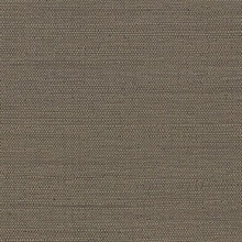 CD-CRW-250  Commercial Wallpaper