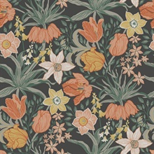 Cecilia Black Tulip and Daffodil Wallpaper