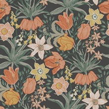 Cecilia Black Tulip and Daffodil Wallpaper