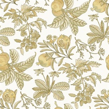 Cecilia Honey Illustrated Fruit &amp; Leaf Wallpaper