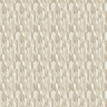 Cedar 67520