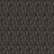 Cedar 67524