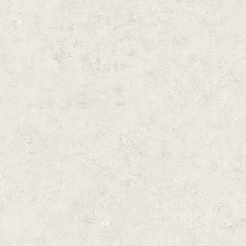 Cement 54 Primer Grey Commercial Wallpaper