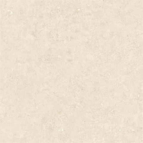 Cement 54 Sphynx Grey Commercial Wallpaper