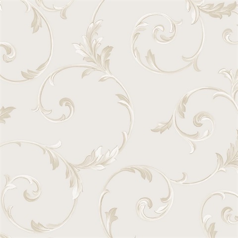 Champagne & Dark Beige Classic Scroll Wallpaper