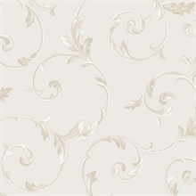 Champagne & Dark Beige Classic Scroll Wallpaper