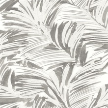 Chaparral Grey Fronds Wallpaper