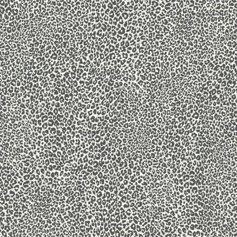 Charcoal & Grey Leopard King Animal Skin Wallpaper