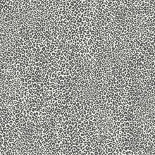 Charcoal &amp; Grey Leopard King Animal Skin Wallpaper