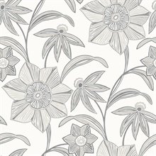 Charcoal Star Flower Coastal Floral Wallpaper