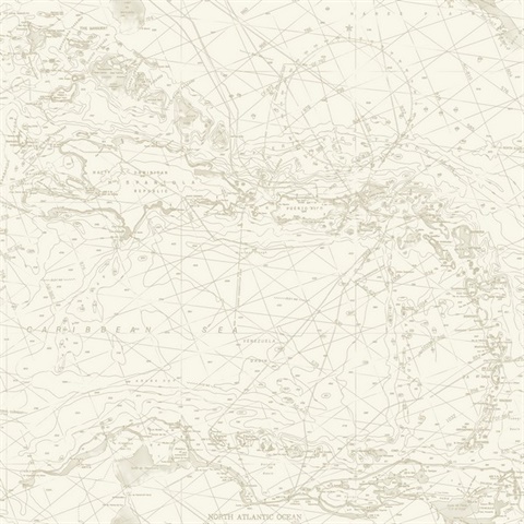Chart Maps Taupe Nautical Chart Map Wallpaper