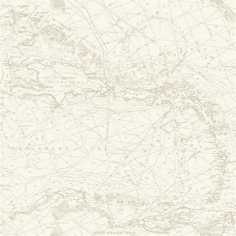 Chart Maps Taupe Nautical Chart Map Wallpaper